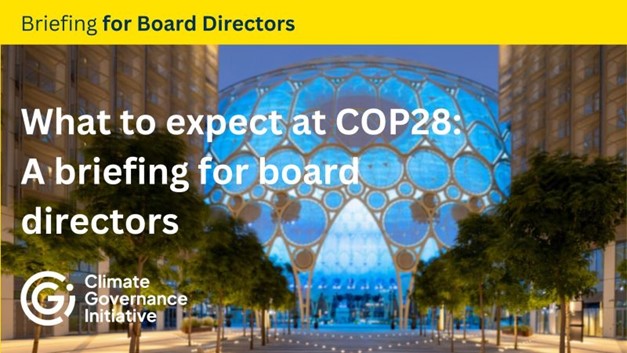 What to expect at COP28: A briefing for board directors