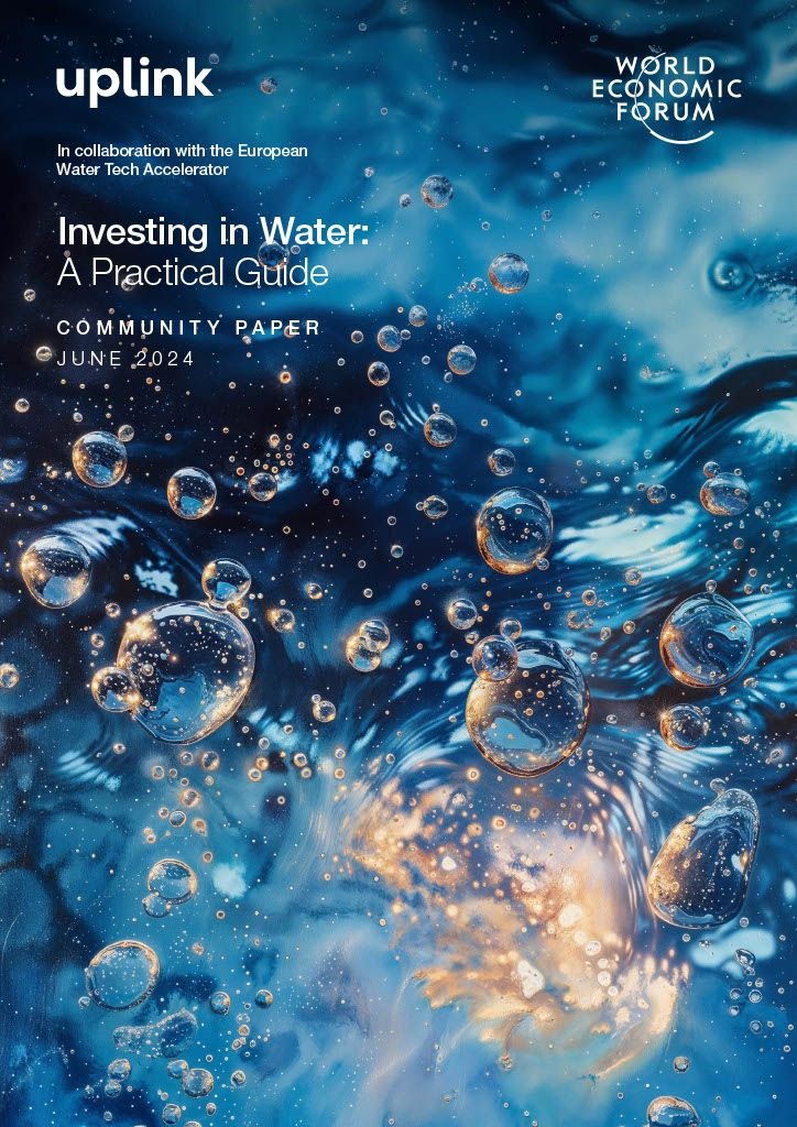 Investing in Water: A Practical Guide